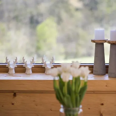 Bed & Breakfast And Bike - Verbier Valley *